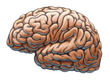 Thougthsforthinking