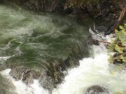 Cara Capener-trippel