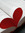 ♥koolkat♥ | 7 comments