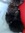 Blackthornhawk | 17 comments