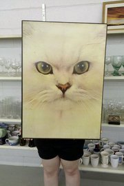 Katy Osterwalderburgenstein