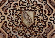 Yasser Mohammed