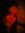 Bethann
