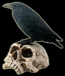 Raven Nevermore