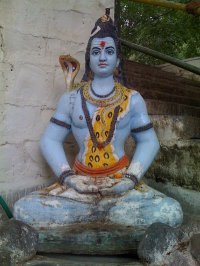 Vinay Reddy