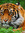 Fred | 2 comments
