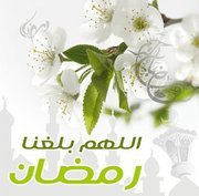 Jihad Alsofany