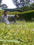 Seedi.pms