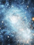 Cygnus28
