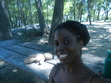 Tracey