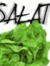 Salat