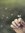 Nouran Foad | 6 comments