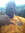 Jaylen | 2 comments