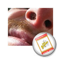 Павел Игнатенков