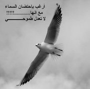 أمجاد الجسّاس