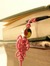 Ashwini