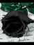 BlackroseBlackheart
