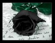 BlackroseBlackheart