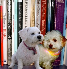 Two Bichons Book Group
