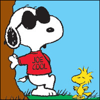 tyreshaunAC1 perkins