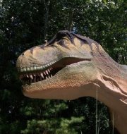 Sandra Lehman-warner