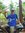 Agung Alit