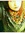 Merel