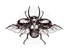 Meredeath Loosewheel