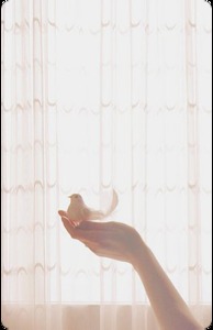 Nσ̩ΌF ṀőhάṁṁёĐ