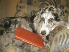 Trudy