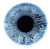 Goodreads profile picture for @madalin