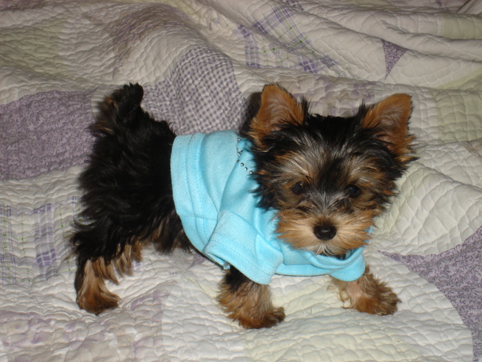 Goodreads profile picture for @tayo