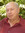 Alan Zendell (alanz) | 29 comments