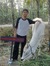 Dimas Dwi