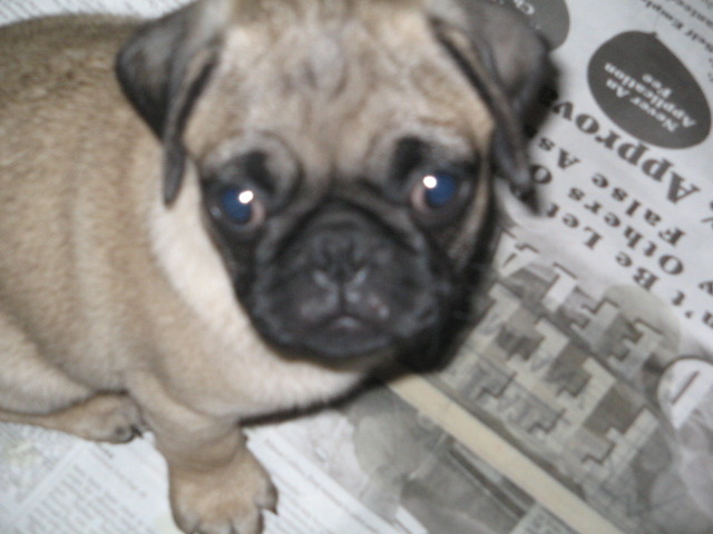 Goodreads profile picture for @unavailable