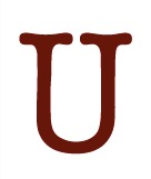 The Urban Book Source