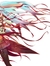 Animekrazed