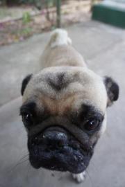 Annette Philaphandeth