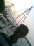 Jestin Joy