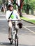 Teguh W...