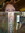 Paula Erickson | 1 comments