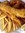 Kittandchips | 5 comments