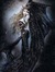 Sephipiderwitch