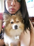 Lina