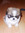 Alain’a | 2 comments
