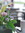 Neda | 9 comments