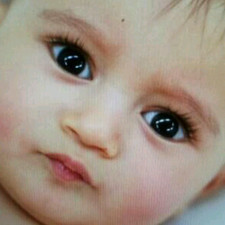 تيمية العقيل