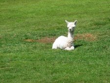 Christopher Holloway