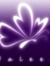 Waleed.M