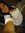 Anna Quiroz | 4 comments
